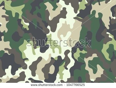 450x340 Camouflage Vector Avishramgolam