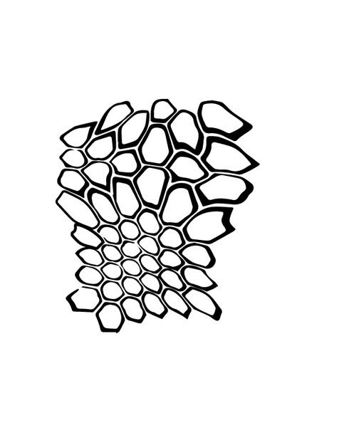 483x625 Kryptek Stencil Related Keywords Suggestions