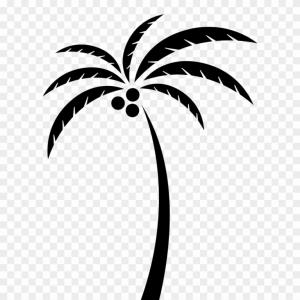 300x300 Catchsplace Vector Graphics Illustrator