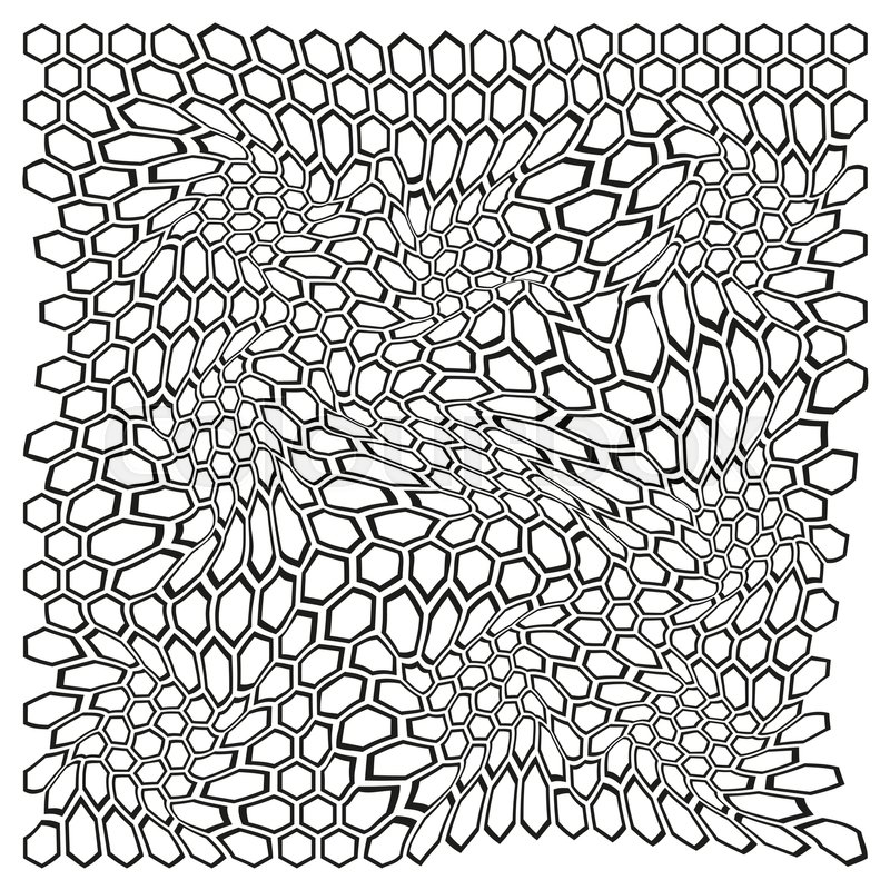 800x800 Ornament Modern Honeycomb Digital Stock Vector Colourbox