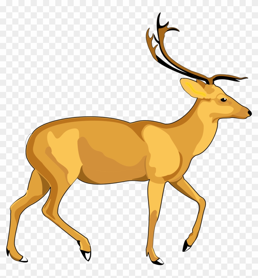 840x907 Deer Vector