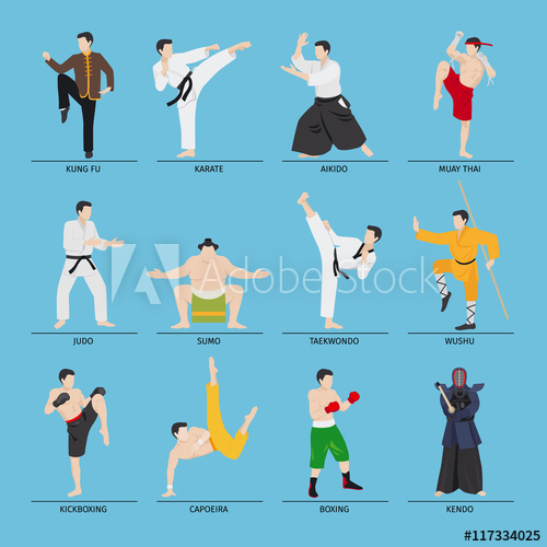 500x500 Asian Martial Arts Vector Illustration Karate And Kung Fu, Sumo