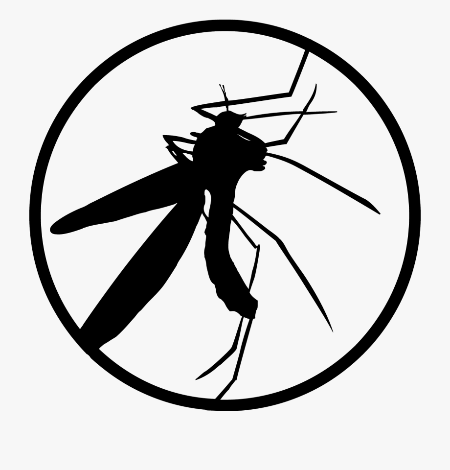 920x960 Creation Lab Icon