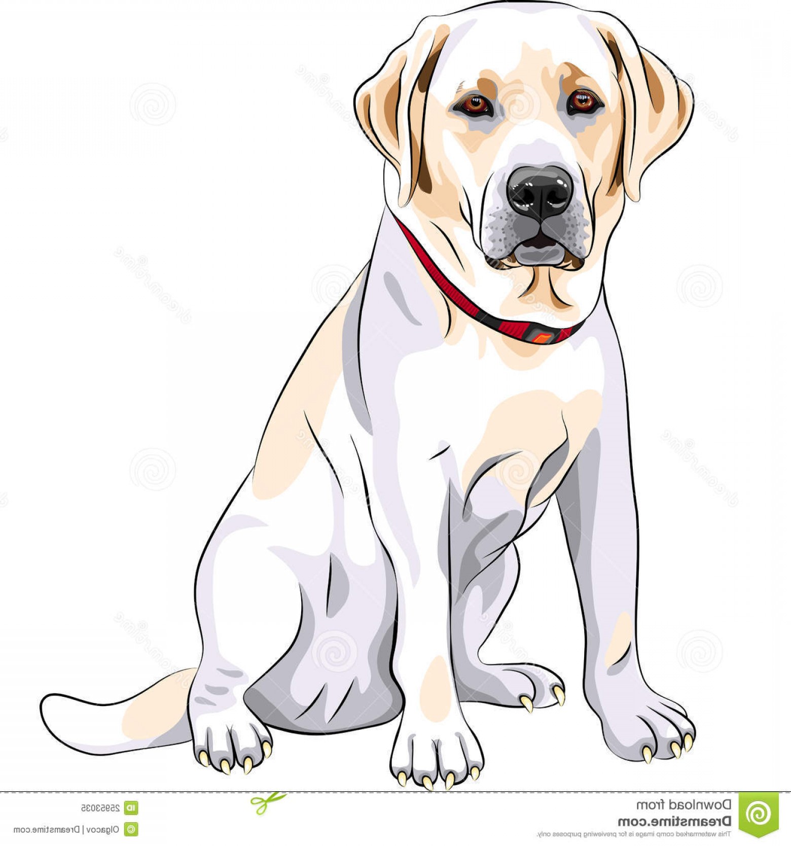 1560x1668 Sitting Lab Vector Handandbeak