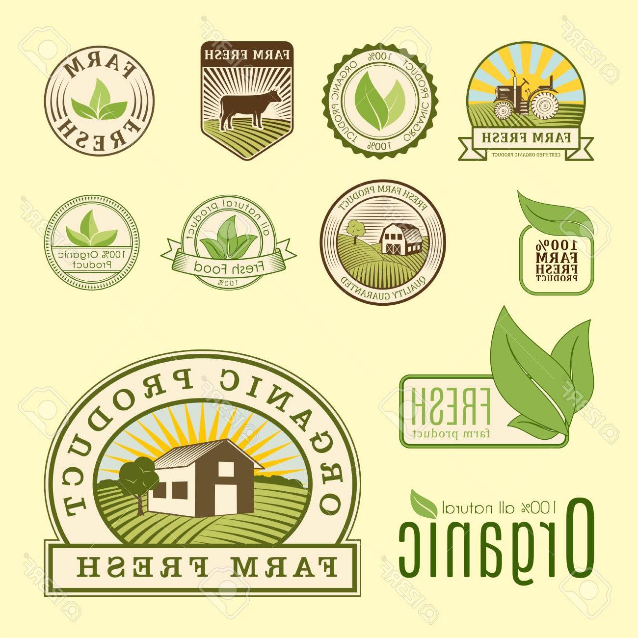1300x1300 Best Free Organic Food Labels Vector Photos Free Vector Art