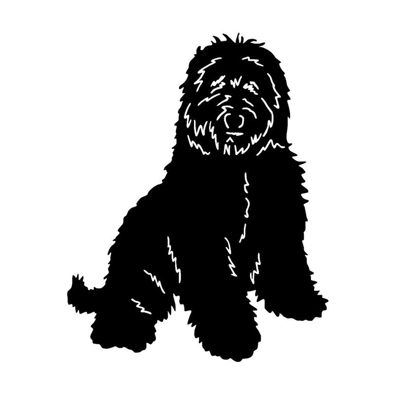 Labradoodle Vector