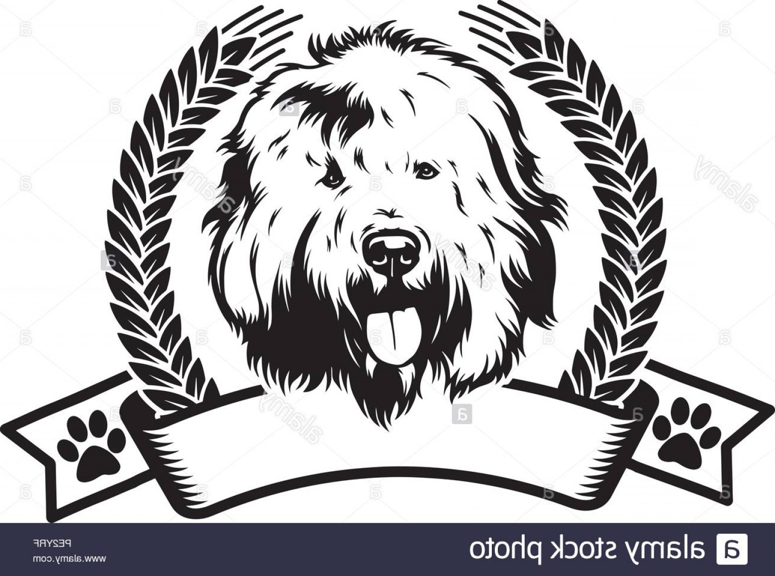 Download Labradoodle Vector at Vectorified.com | Collection of ...