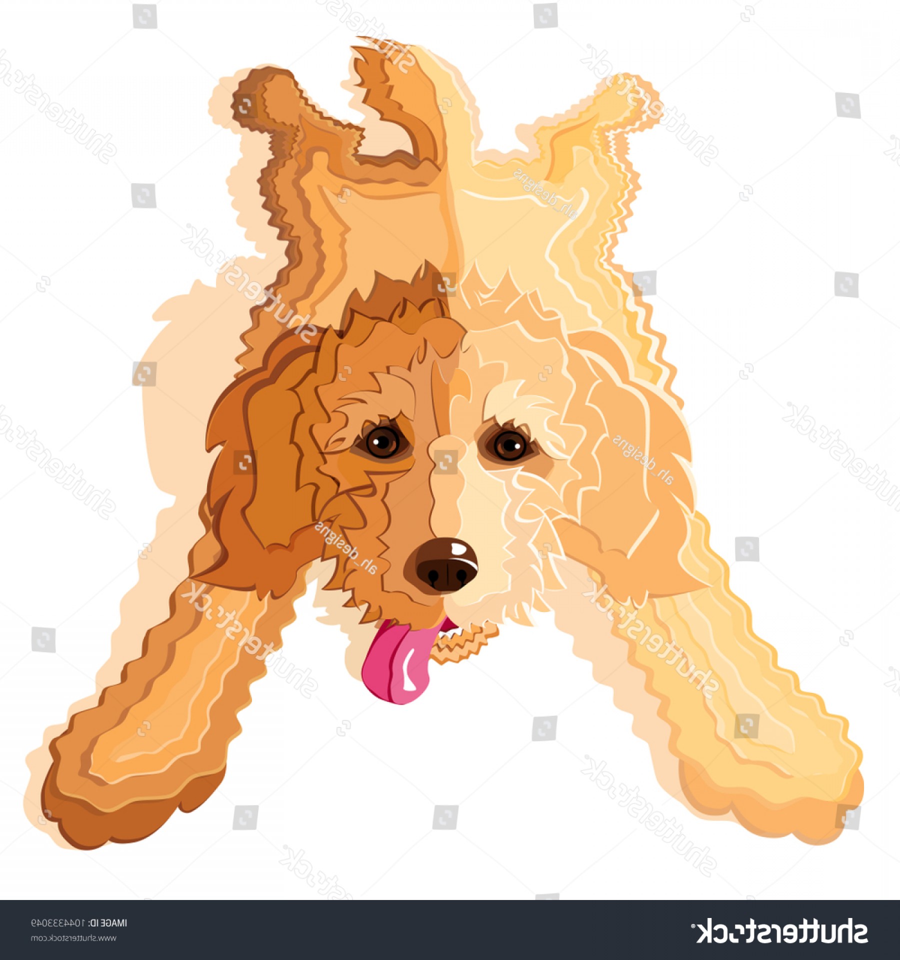 1800x1920 Goldendoodle Labradoodle Dog Laying Down Back Catchsplace