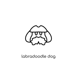 300x300 How Much Does A Labradoodle Cost