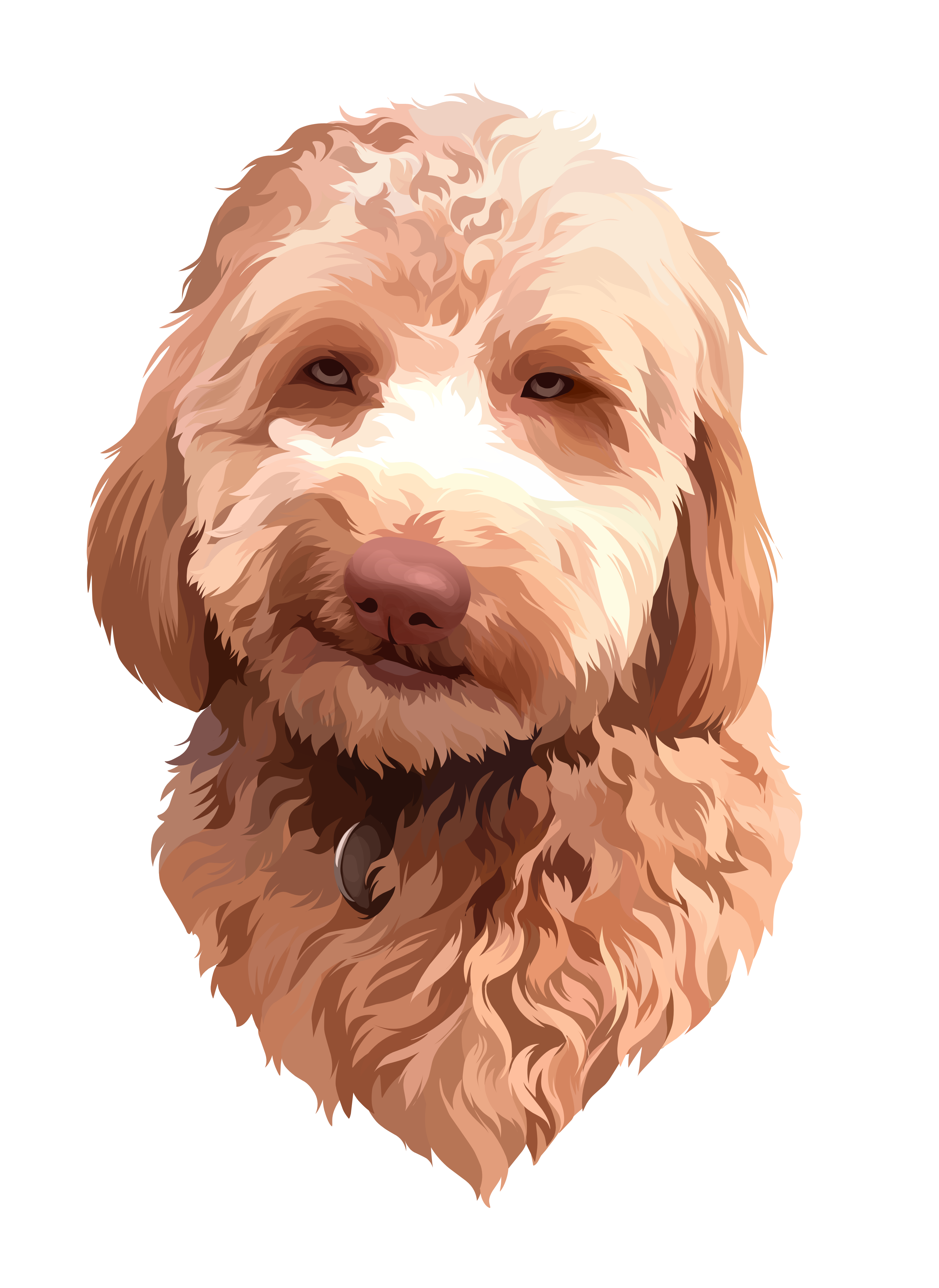Labradoodle Vector at Vectorified.com | Collection of Labradoodle