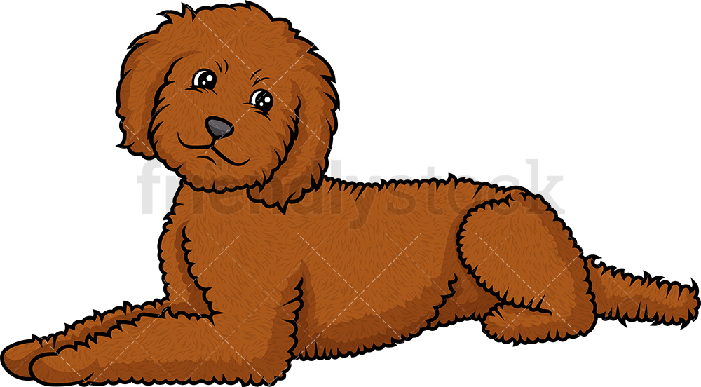 1000x552 Labradoodle Lying Down Cartoon Clipart Vector
