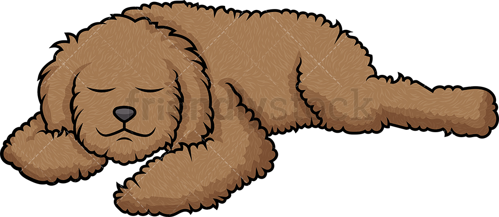 1000x435 Labradoodle Sleeping Cartoon Clipart Vector
