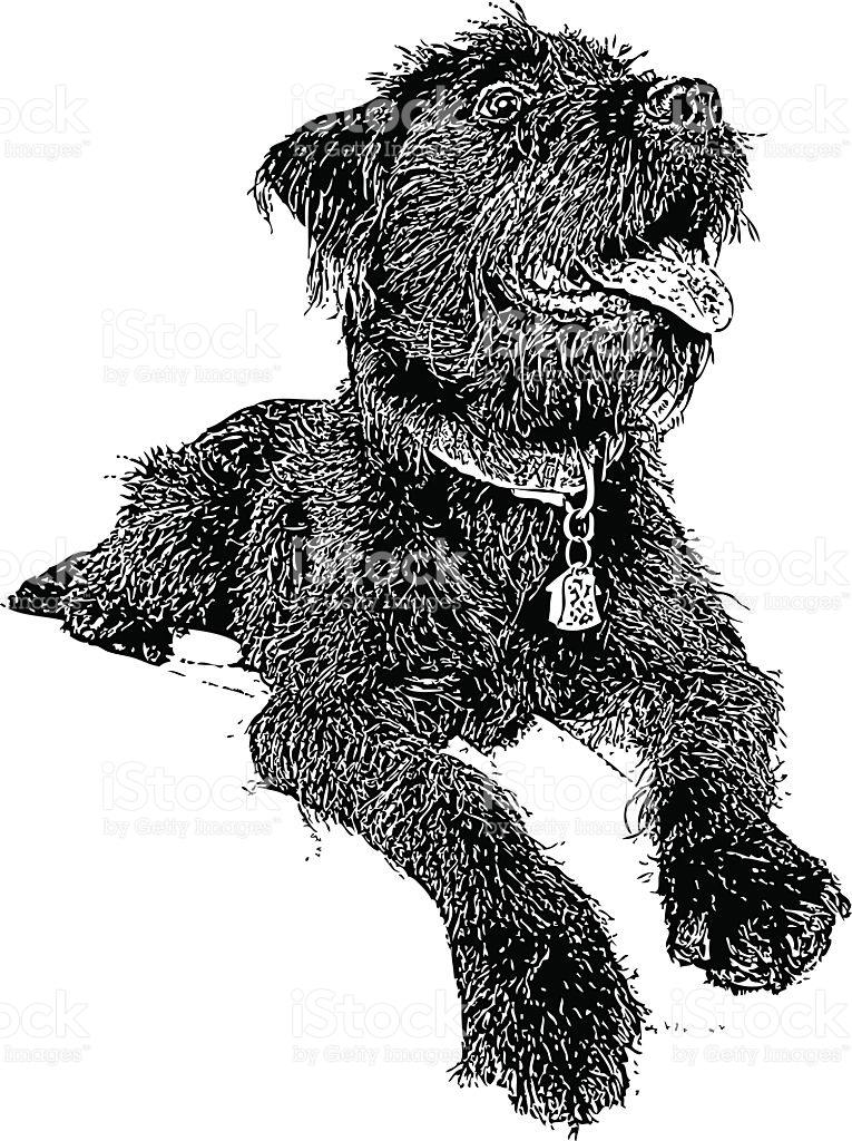 765x1024 Labradoodle Clipart Free Cliparts Download Images