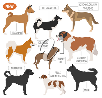 350x337 Labradoodle Clipart Images And Royalty Free Illustrations