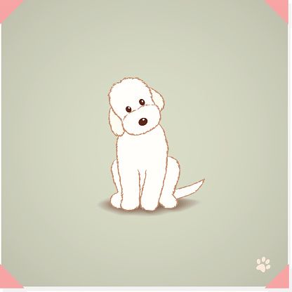 416x416 Labradoodle Dog Vector Art Illustration Puppies Dog Vector