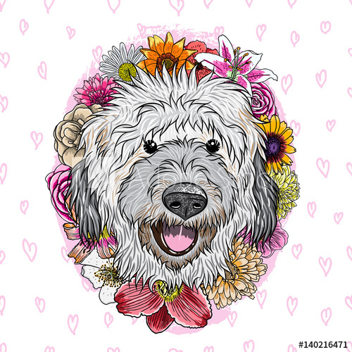 500x500 Small, Cute Labradoodle Puppy Girl With Smile In Exotic Floral