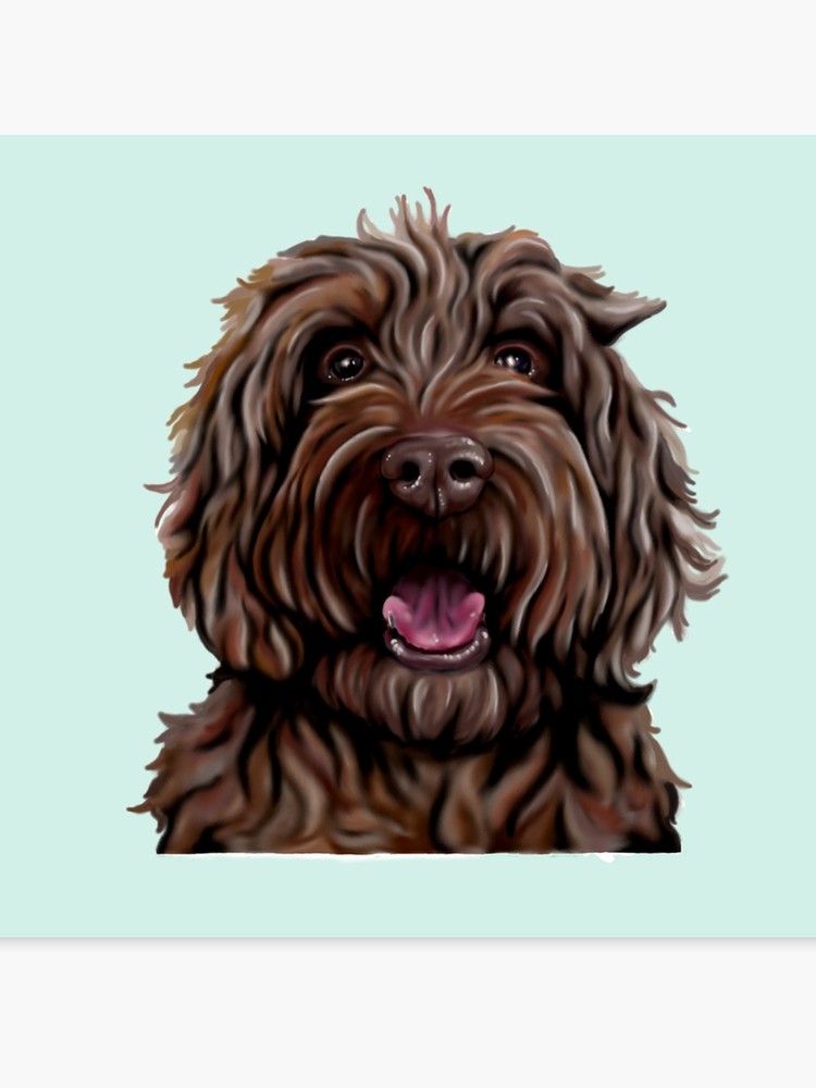 750x1000 Chocolate Australian Cobberdogaustralian Labradoodle Canvas