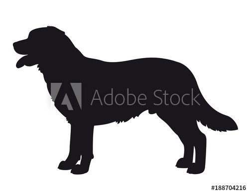 500x389 Labrador Retriever