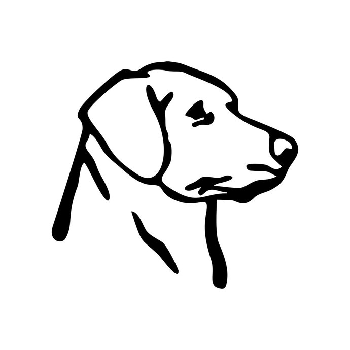 690x690 Labrador Retriever Dog Graphics Design