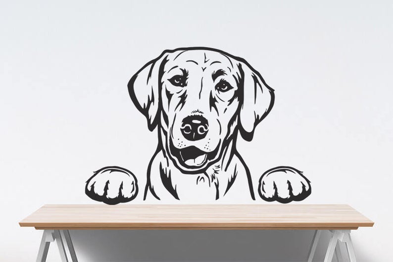 794x529 Labrador Retriever Lab Clipart Hunting Dog Cute Face Etsy