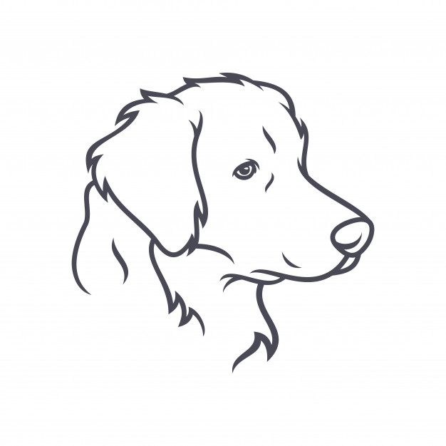 Labrador Retriever Vector at Vectorified.com | Collection of Labrador