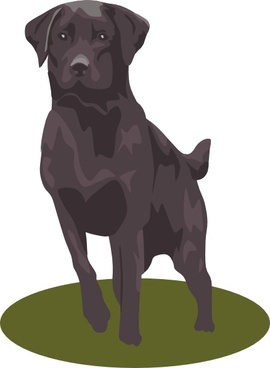 270x368 Labrador Retriever Free Vector Download