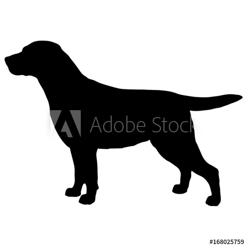 500x500 Labrador Retriever Vector Black Silhouette On A White Background