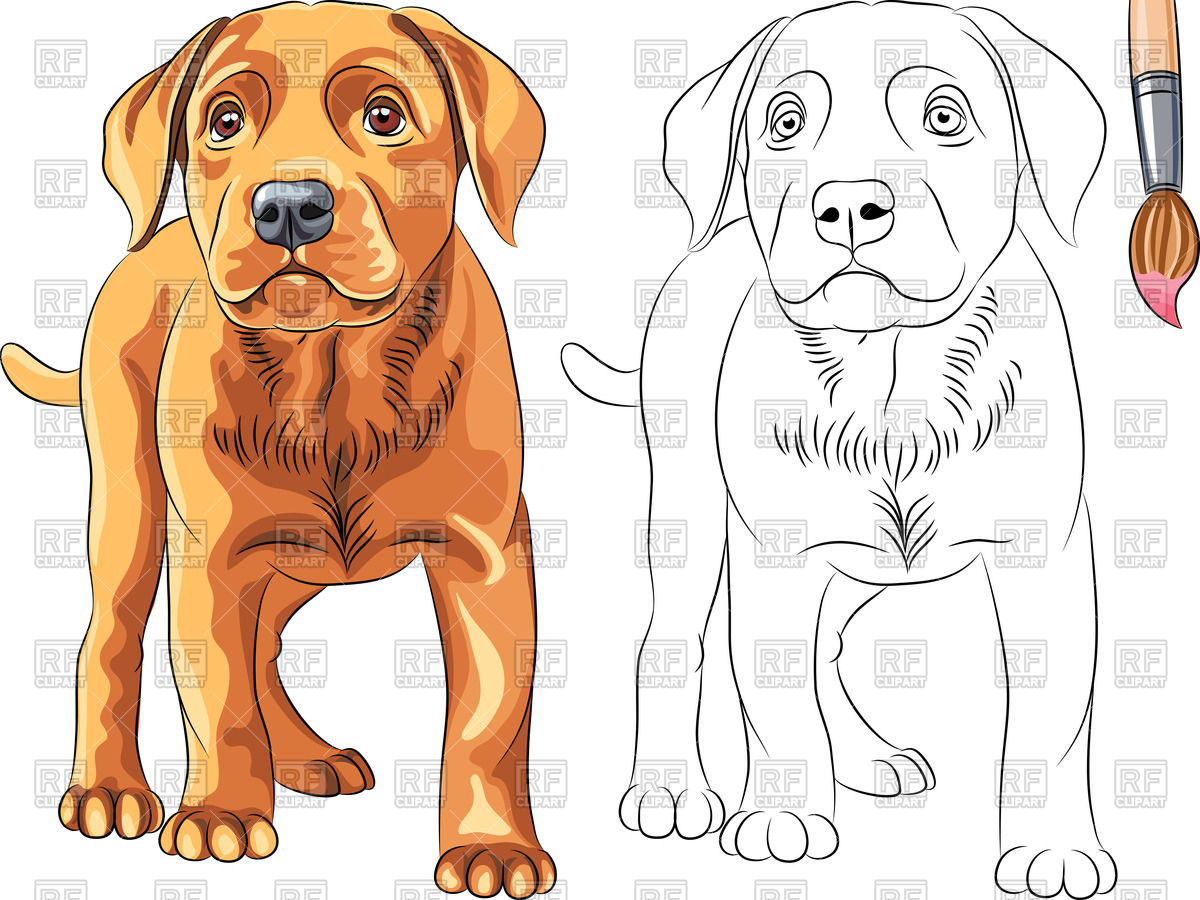 1200x900 Coloring Book With Puppy Dog