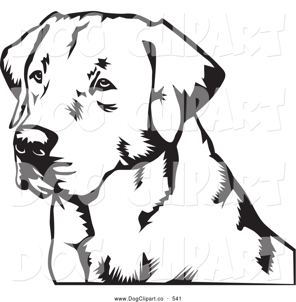 1024x1044 Vector Clip Art Of A Cute Labrador Retriever Dog