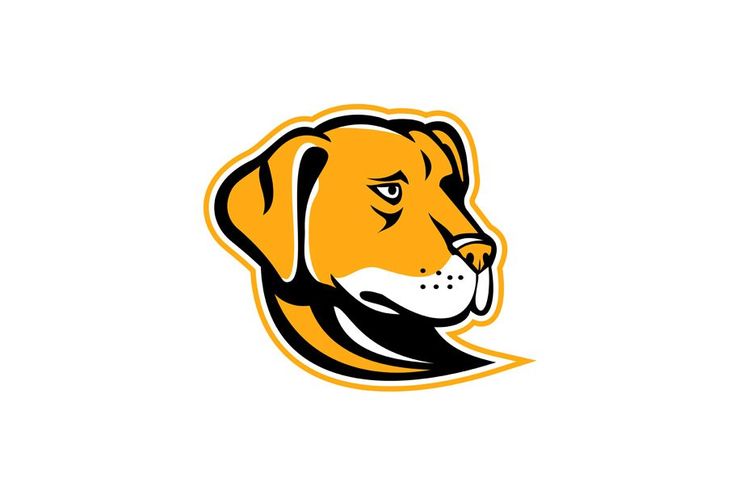 735x490 Vector Gun Labrador Retriever Dog Mascot