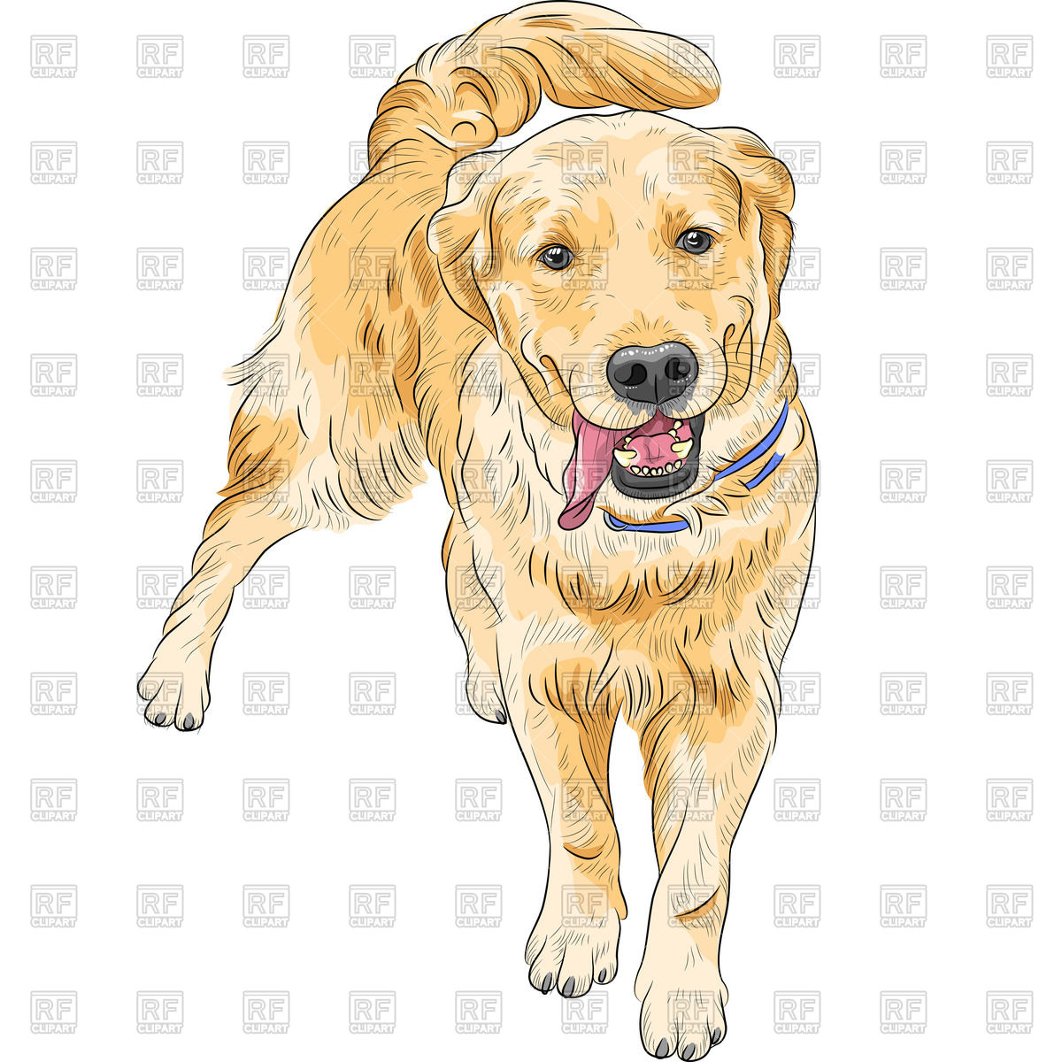 Карикатура породы собак ретривер