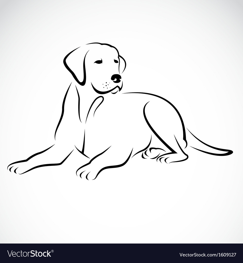 1000x1080 Huge Collection Of 'labrador Silhouette Vector' Download More