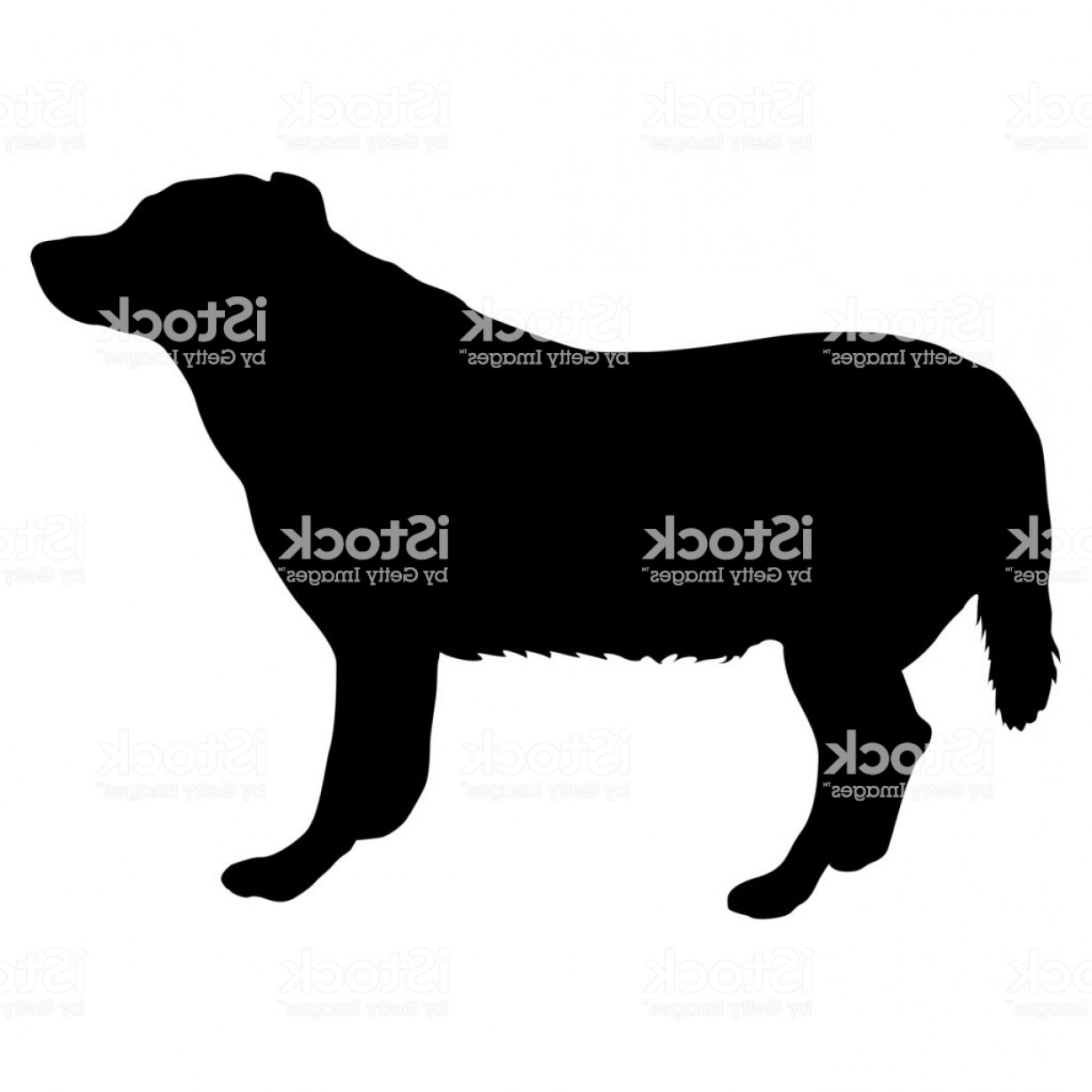 1228x1228 Labrador Dog Silhouette On A White Background Gm Newwaysys