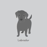 200x200 Labrador Free Vector Art