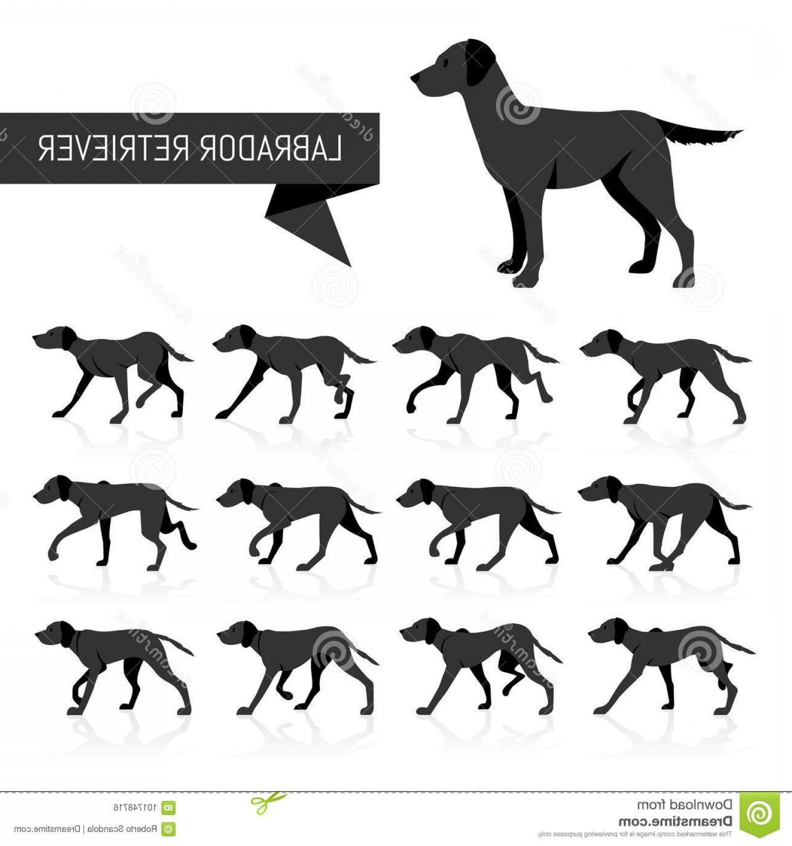 1560x1668 Labrador Retriever Vector Silhouettes Full Collection Digital