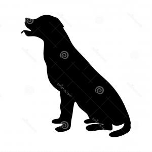 300x300 Stock Illustration Dog Icon Labrador Silhouette Sitting Vector