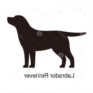 300x300 Stock Illustration Labrador Retriever Dog Silhouette Side View