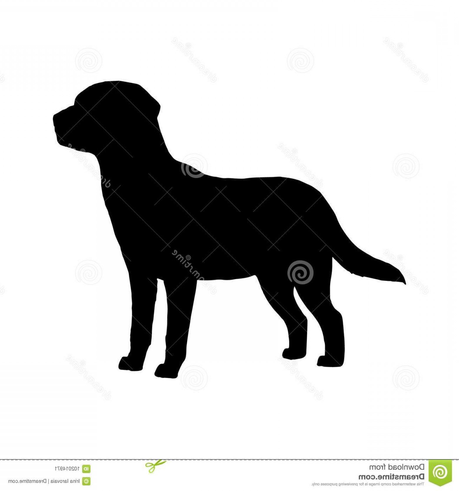 Download Labrador Silhouette Vector at Vectorified.com | Collection ...