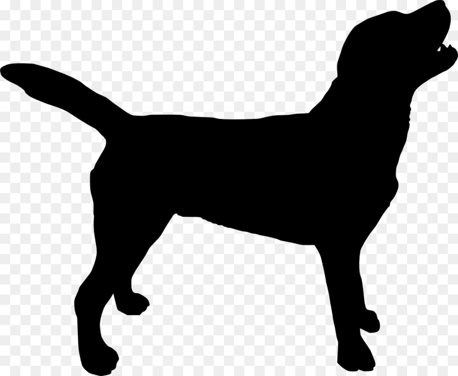 900x740 Huge Collection Of 'labrador Silhouette' Download More Than