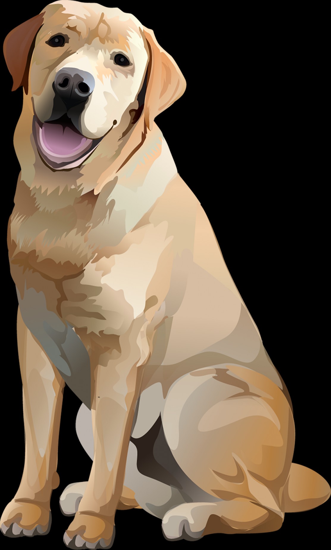 1113x1845 Labrador Retriever Yellow Tshirt Vibrant Vector Cultracing