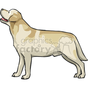 300x300 Labrador Retriever Clipart Royalty Free Gif, Wmf Clipart