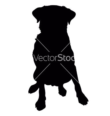 380x400 Labrador Vector Images