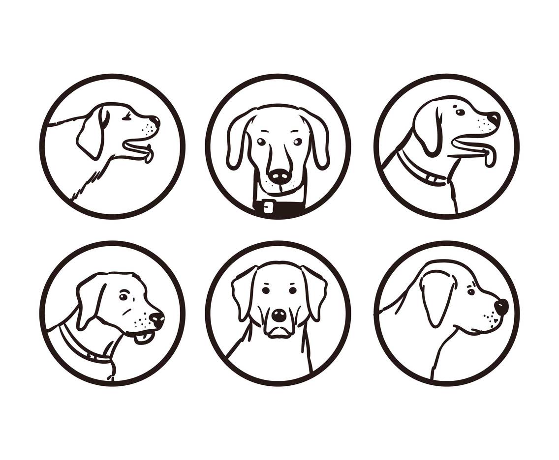 1136x936 Labrador Vector Set Vector Art Graphics