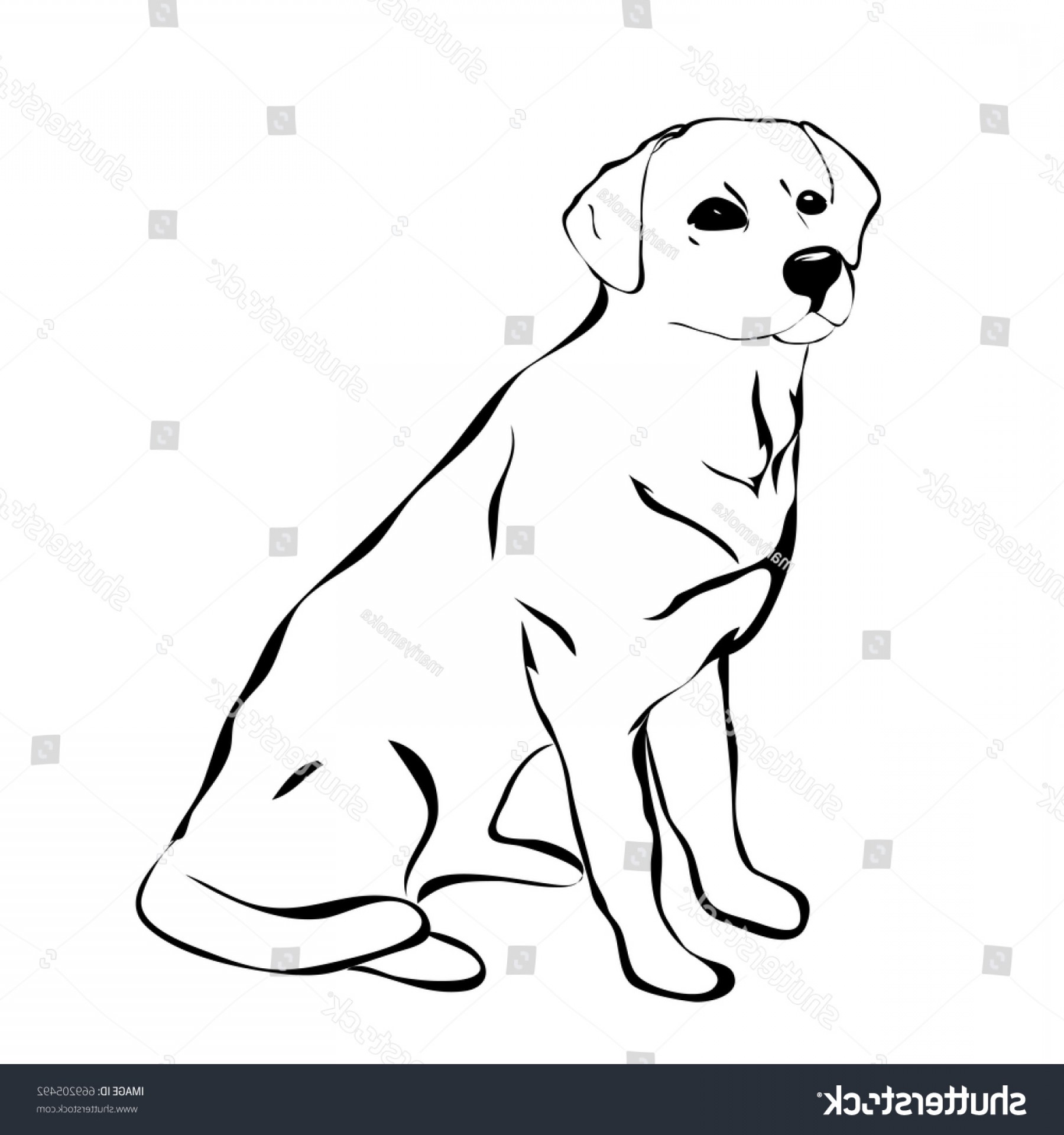 Labrador Vector at Vectorified.com | Collection of Labrador Vector free ...