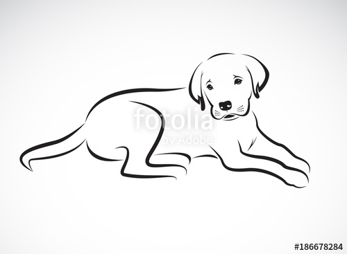 500x367 Vector Of A Dog Labrador On White Background Pet Animal Easy