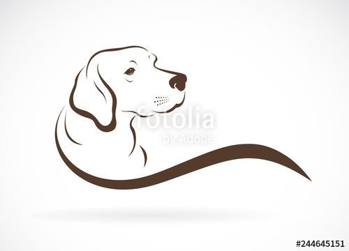 500x360 Vector Of Dog Head