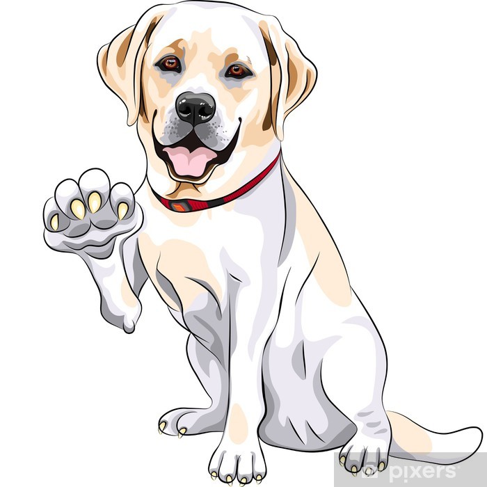 700x700 Vector Dog Labrador Retriever Cheerful Smiles And Gives A Paw Wall