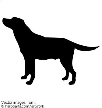 335x355 Download Labrador Retriever