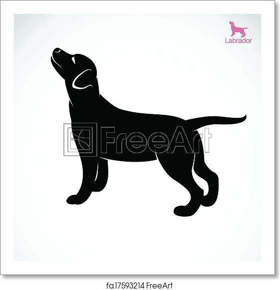 561x581 Free Art Print Of Vector Image Of An Dog Labrador Vector Image