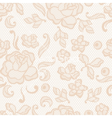 380x400 Vintage Lace Background Ornamental Flowers Texture Vector